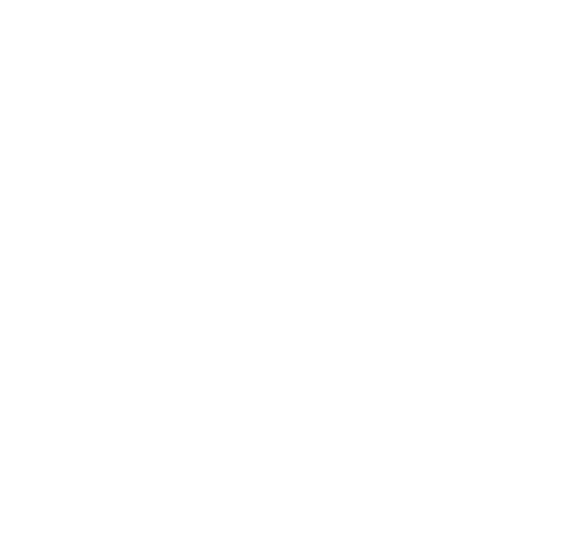 Stadt Speyer